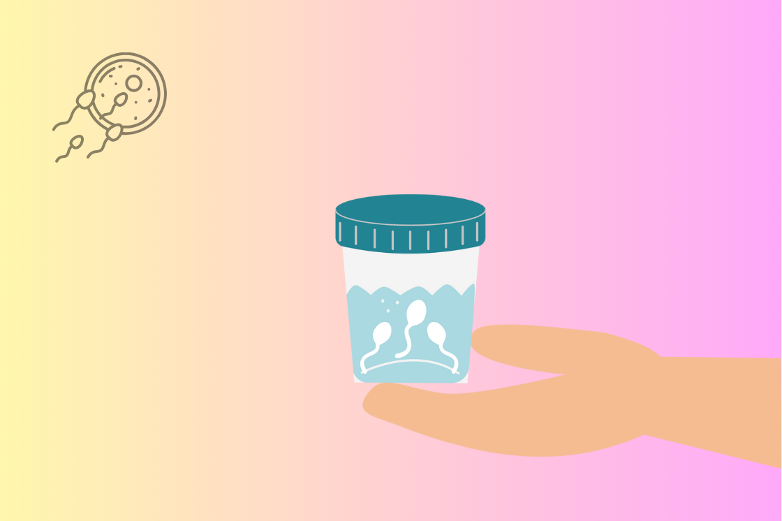 Donor Egg IVF at Ashakiran Pune: When Is It the Right Choice?