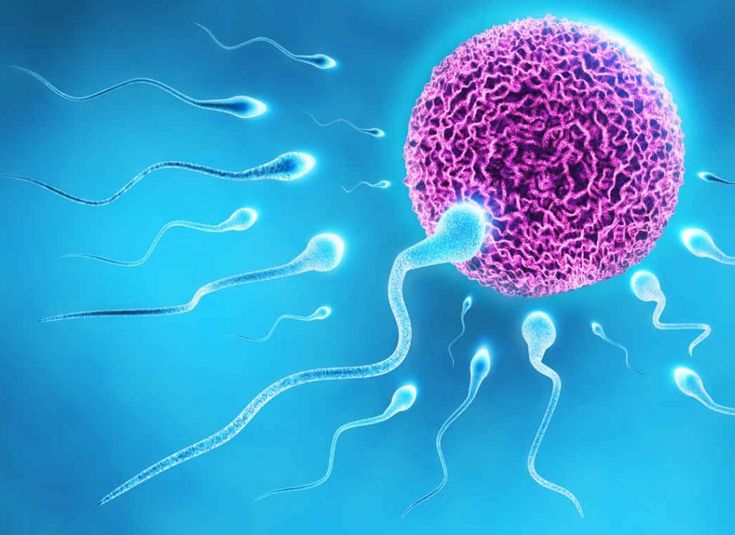 Male Infertility Treatment in Pune